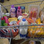 fill the cart